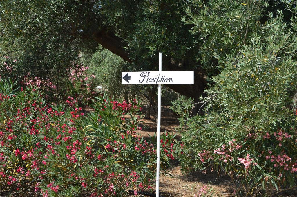 Agriturismo Masseria San Leonardo Savelletri Exterior photo